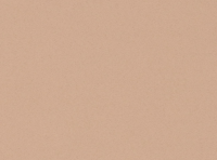 Verdunklungsvorhang beige braun Corin 